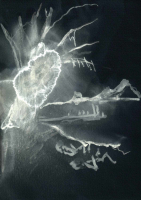http://www.actionaqua.com/files/gimgs/th-113_bodensee  8invert.jpg